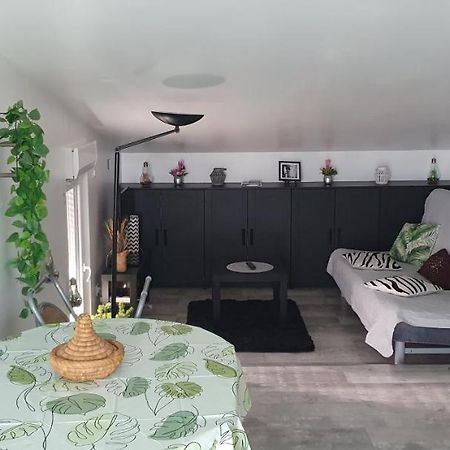 Appartement Cocooning Auterive Auterive  المظهر الخارجي الصورة